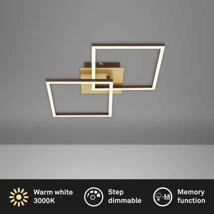Briloner 3210-017 - LED dæmpbar loftlampe FRAME 2xLED/11W/230V i guld