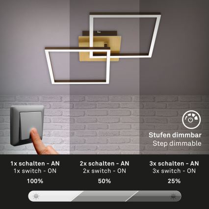 Briloner 3210-017 - LED dæmpbar loftlampe FRAME 2xLED/11W/230V i guld