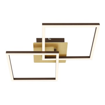 Briloner 3210-017 - LED dæmpbar loftlampe FRAME 2xLED/11W/230V i guld