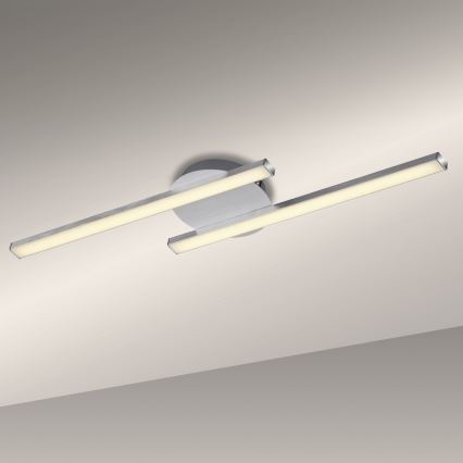 Briloner 3257-029 - LED loftlampe GO 2xLED/6W/230V
