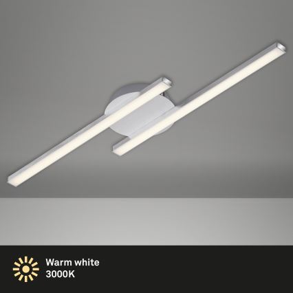 Briloner 3257-029 - LED loftlampe GO 2xLED/6W/230V