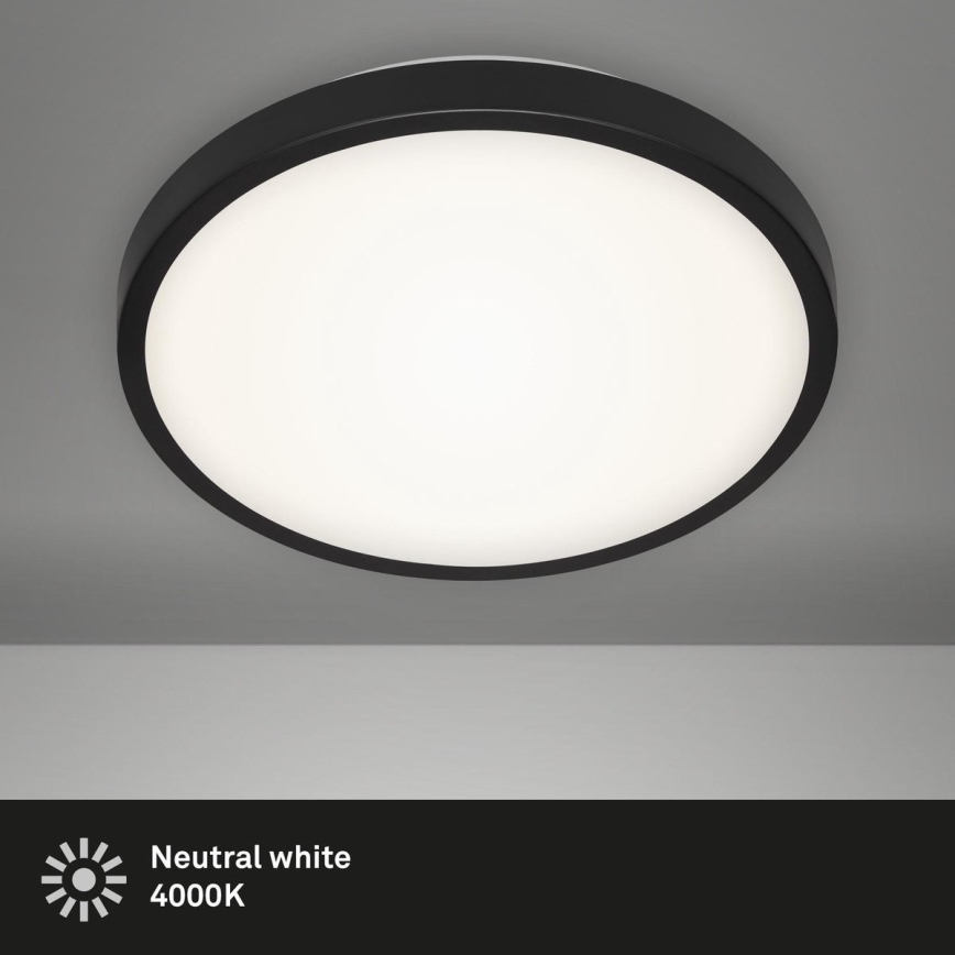 Briloner 3455-015 - LED loftlampe MANNY LED/12W/230V