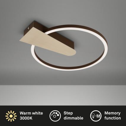 Briloner 3542017 - LED loftlampe dæmpbar NICO LED/12W/230V guldfarvet