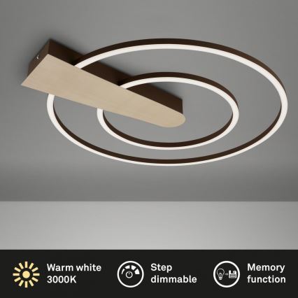 Briloner 3543-017 - LED loftlampe dæmpbar NICO LED/25W/230V guldfarvet