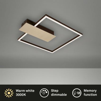 Briloner 3544-017 - LED loftlampe dæmpbar NICO LED/12W/230V guldfarvet