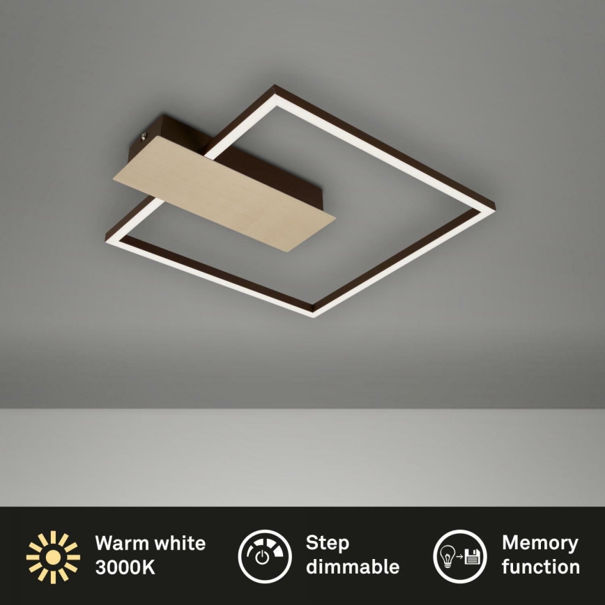Briloner 3544-017 - LED loftlampe dæmpbar NICO LED/12W/230V guldfarvet