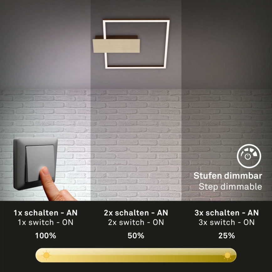 Briloner 3544-017 - LED loftlampe dæmpbar NICO LED/12W/230V guldfarvet