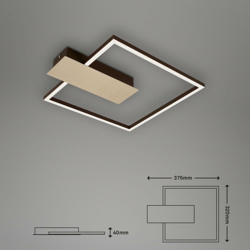 Briloner 3544-017 - LED loftlampe dæmpbar NICO LED/12W/230V guldfarvet
