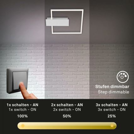 Briloner 3544-018 - LED loftlampe dæmpbar NICO LED/12W/230V mat krom