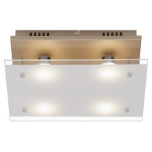 Briloner 3586-047 - LED loftlampe SMART GOLD 4xGU10/4W/230V