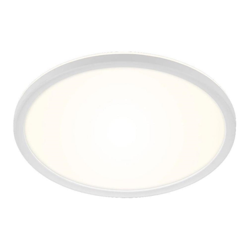 Briloner 3642-416 - LED loftlampe til badeværelse SLIM LED/19W/230V IP44 hvid