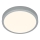 Briloner 3703-014 - LED loftlampe RUNA LED/24W/230V 3000K diameter 38 cm sølvfarvet