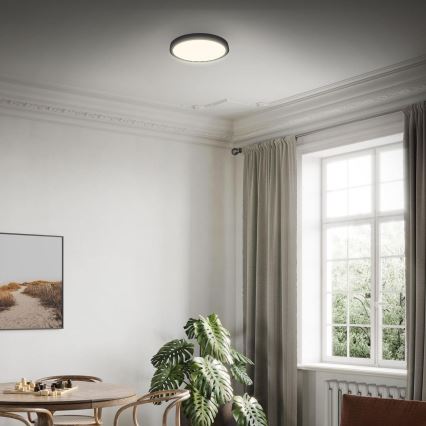 Briloner 3703-015 - LED loftlampe RUNA LED/24W/230V 3000K diameter 38 cm sort