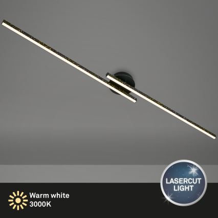 Briloner 3717-025 - LED loftlampe REY 2xLED/12W/230V sort