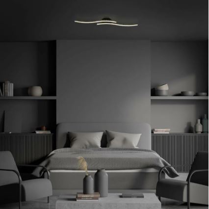 Briloner 3718-025 - LED loftlampe REY 2xLED/6W/230V sort