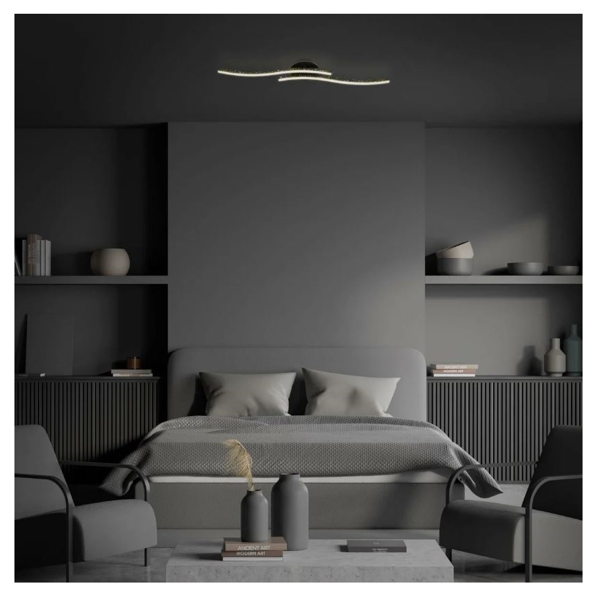 Briloner 3718-025 - LED loftlampe REY 2xLED/6W/230V sort