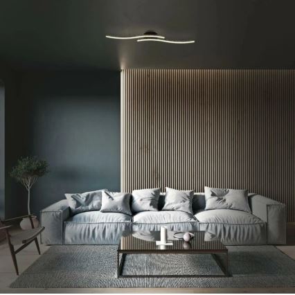 Briloner 3718-025 - LED loftlampe REY 2xLED/6W/230V sort