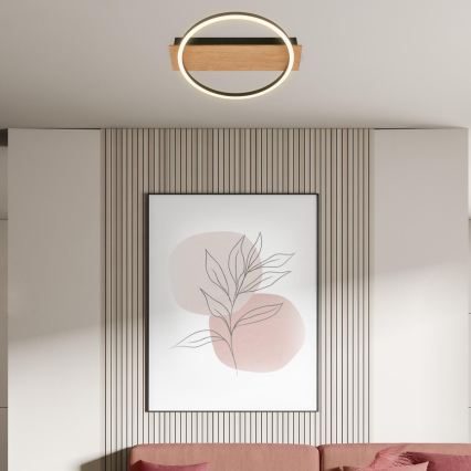 Briloner 3908-014 - LED loftlampe KADA LED/14W/230V Ø 30 cm sort/brun