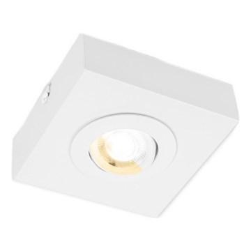 Briloner 3996016 - LED spotlampe CTS LED/4W/230V 2700/4000K hvid