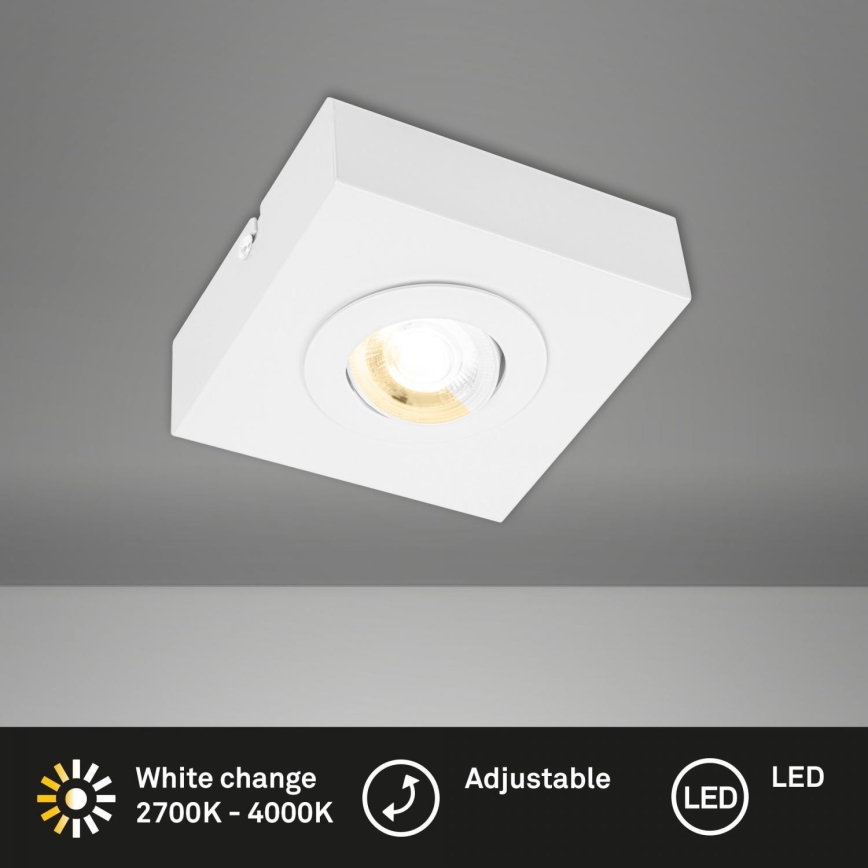 Briloner 3996016 - LED spotlampe CTS LED/4W/230V 2700/4000K hvid