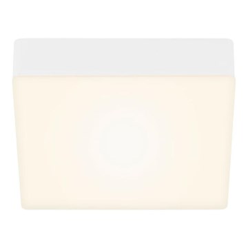 Briloner 7069-016 - LED loftlampe LED/11W/230V hvid