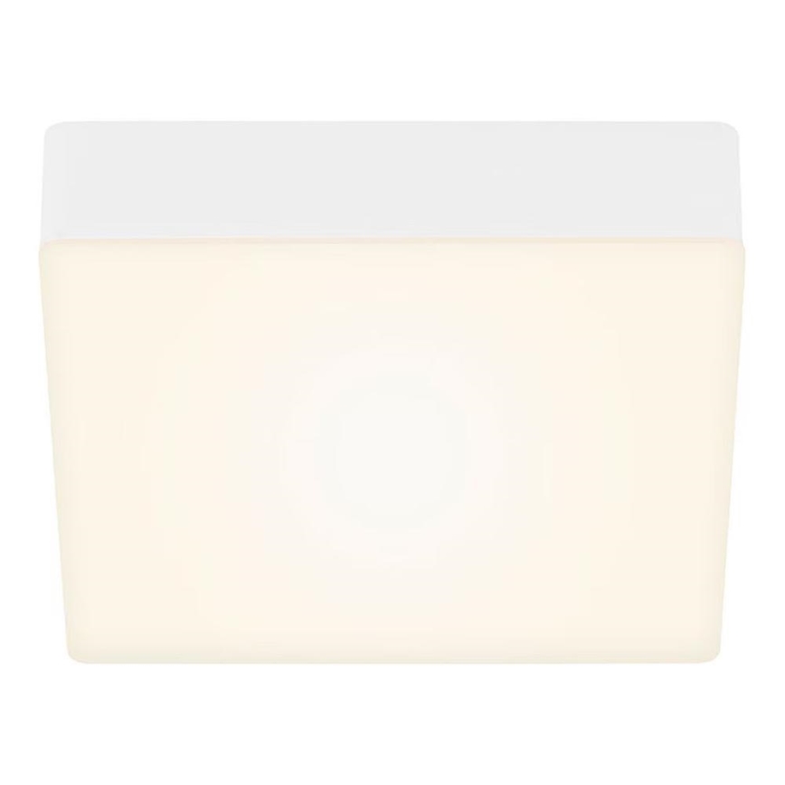 Briloner 7069-016 - LED loftlampe LED/11W/230V hvid