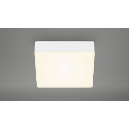 Briloner 7069-016 - LED loftlampe LED/11W/230V hvid