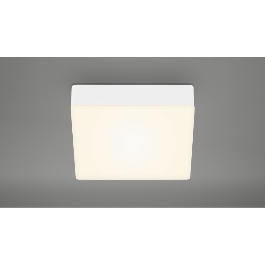 Briloner 7069-016 - LED loftlampe LED/11W/230V hvid