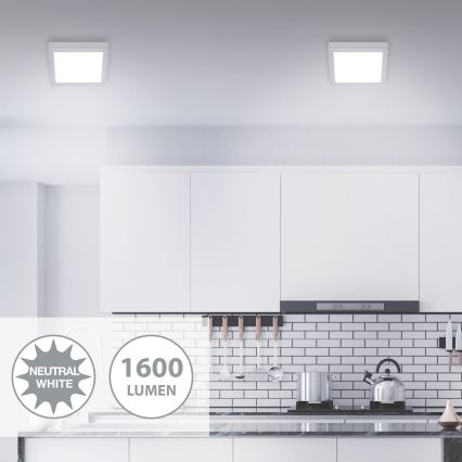 Briloner 7118-414 - LED loftlampe FIRE LED/16,5W/230V 4000K