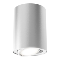 Briloner 7119-014 - LED spotlampe TUBE 1xGU10/5W/230V rund