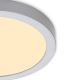 Briloner 7132-014 - LED loftlampe til badeværelse FIRE LED/21W/230V 3000K IP44