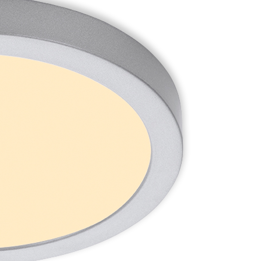 Briloner 7132-014 - LED loftlampe til badeværelse FIRE LED/21W/230V 3000K IP44