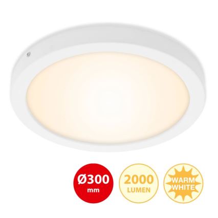 Briloner 7141-016 - LED loftlampe FIRE LED/21W/230V