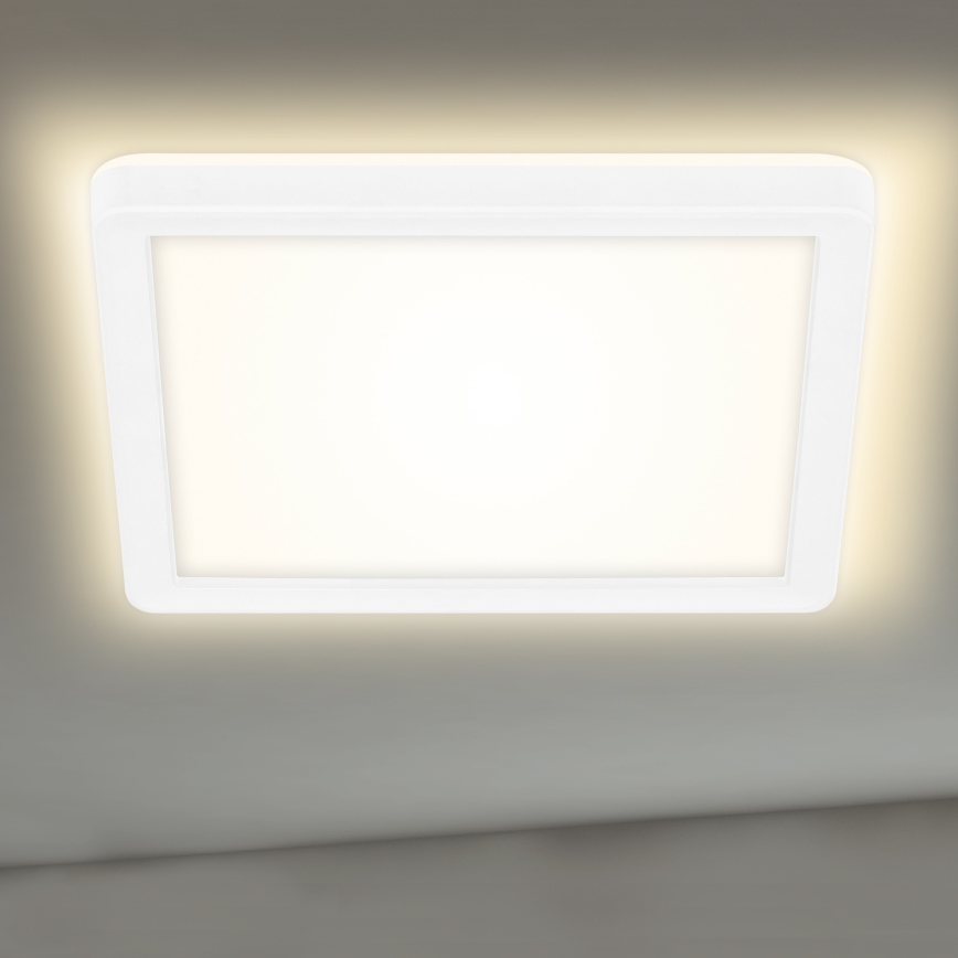 Briloner 7153-416 - LED loftlampe SLIM LED/12W/230V