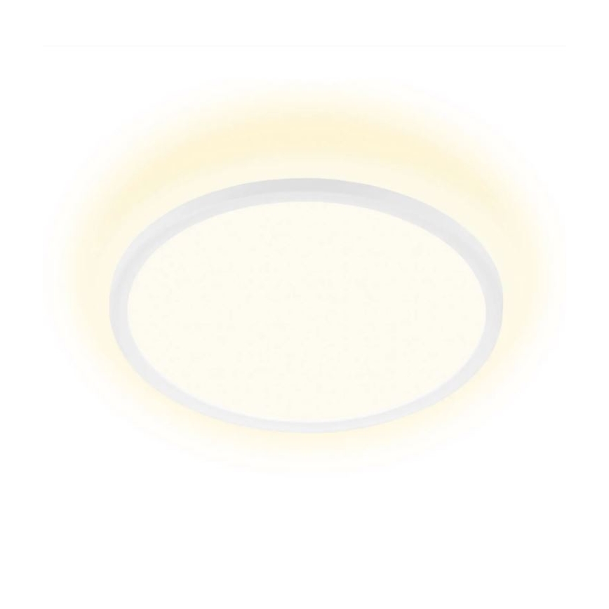 Briloner 7155-416 - LED loftlampe SLIM LED/18W/230V