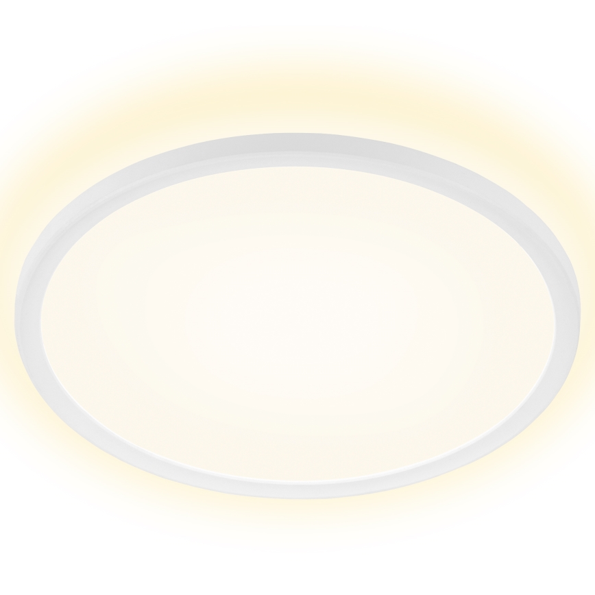 Briloner 7157-416 - LED loftlampe SLIM LED/22W/230V diameter 42 cm