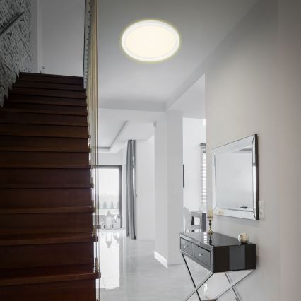 Briloner 7363-016 - LED loftlampe CADRE LED/22W/230V diam. 42,5 cm hvid
