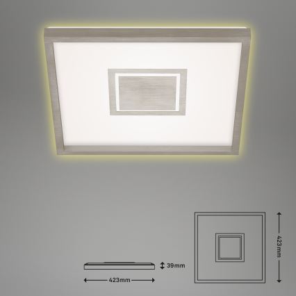 Briloner 7367-112 - LED loftlampe GEO LED/22W/230V