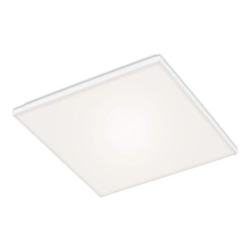 Briloner 7376-116 - LED loftlampe FRAMELESS LED/24W/230V