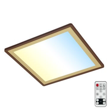 Briloner 7459-417 - LED loftlampe dæmpbar DECO LED/24W/230V 2700-6500K + fjernbetjening