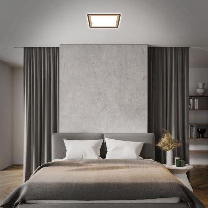 Briloner 7459-417 - LED loftlampe dæmpbar DECO LED/24W/230V 2700-6500K + fjernbetjening