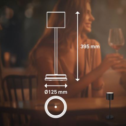 Briloner 7521015 - Dæmpbar LED udendørs genopladelig bordlampe SIGO LED/2,5W/5V IP44 2600 mAh sort