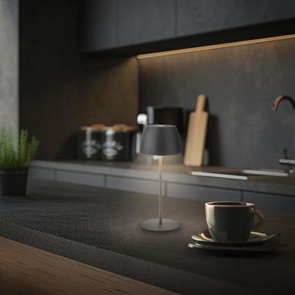 Briloner - LED dæmpbar genopladelig berøringsbetjent udendørs bordlampe MINI LED/2,5W/5V IP44 1800 mAh antracit