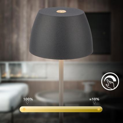 Briloner - LED dæmpbar genopladelig berøringsbetjent udendørs bordlampe MINI LED/2,5W/5V IP44 1800 mAh antracit