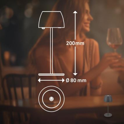 Briloner - LED dæmpbar genopladelig berøringsbetjent udendørs bordlampe MINI LED/2,5W/5V IP44 1800 mAh antracit