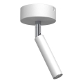 Brosline - spotlampe 1xG9/2,5W/230V hvid