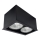 Brosline - Spotlampe 2xGU10/10W/230V sort