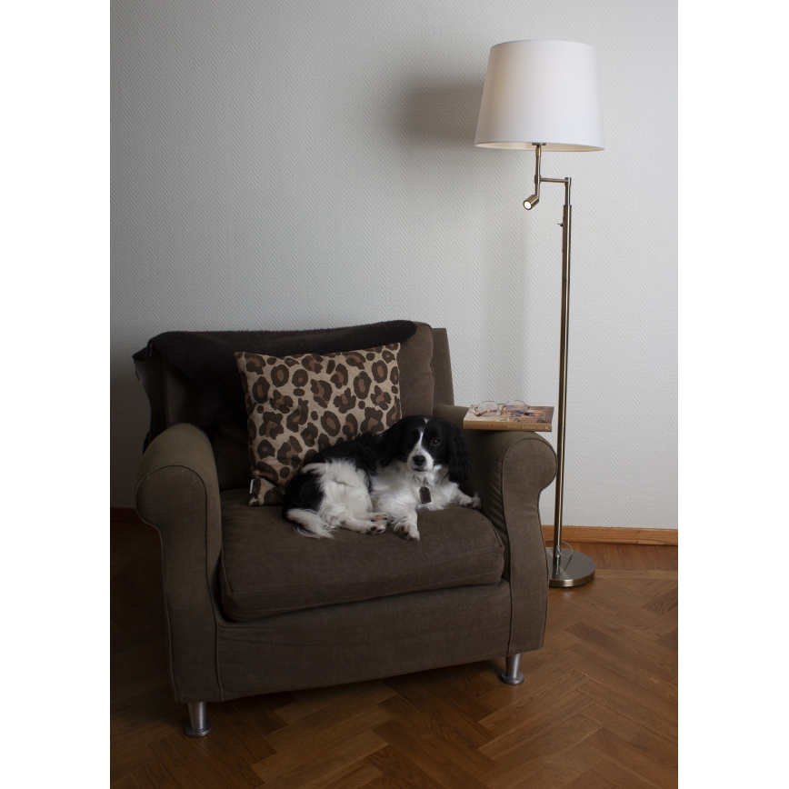 ByRydens - LED gulvlampe ORLANDO 1xE27/5W/230V + LED/3W hvid/bronze diameter 36 cm