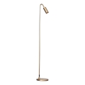 ByRydens - Gulvlampe CURVE 1xGU10/7W/230V guld