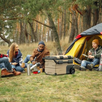 Bærbar køleskab til bil med LCD-display 39 l 230V/12V/24V brun